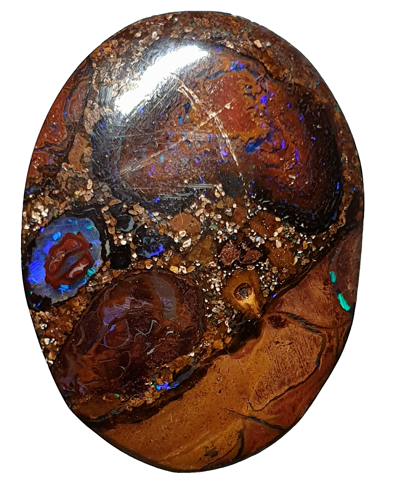 53468 - 20 Boulder Opal Ranging in Size from About 15 x 13 mm up to 28 x 20 mm
