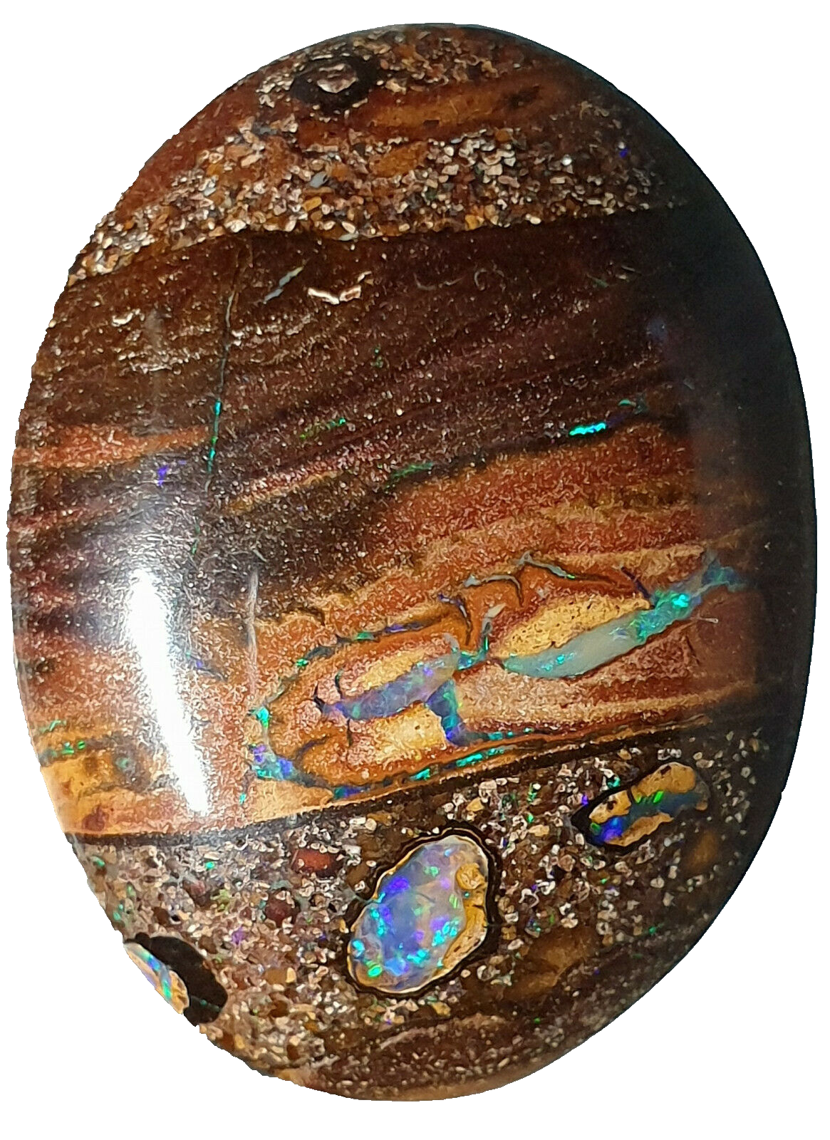 53468 - 20 Boulder Opal Ranging in Size from About 15 x 13 mm up to 28 x 20 mm