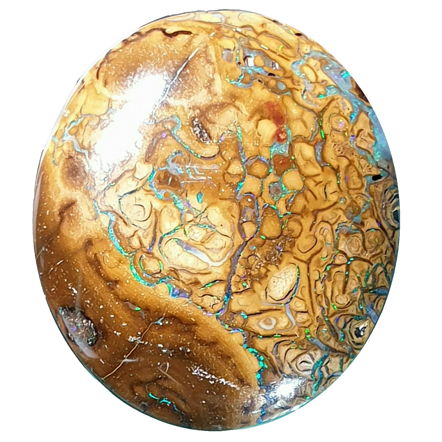 53467 - 16 Oval Cut Golden Boulder Opal Matrix About 13 x 9 mm to 26 x 23 mm