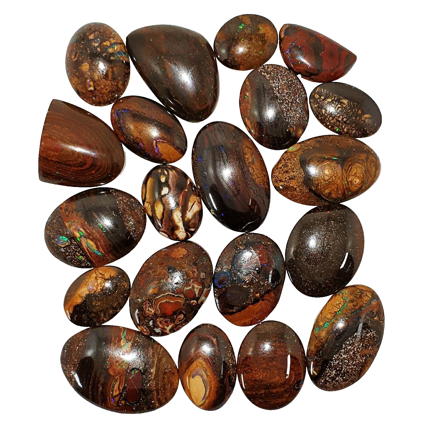 53468 - 20 Boulder Opal Ranging in Size from About 15 x 13 mm up to 28 x 20 mm