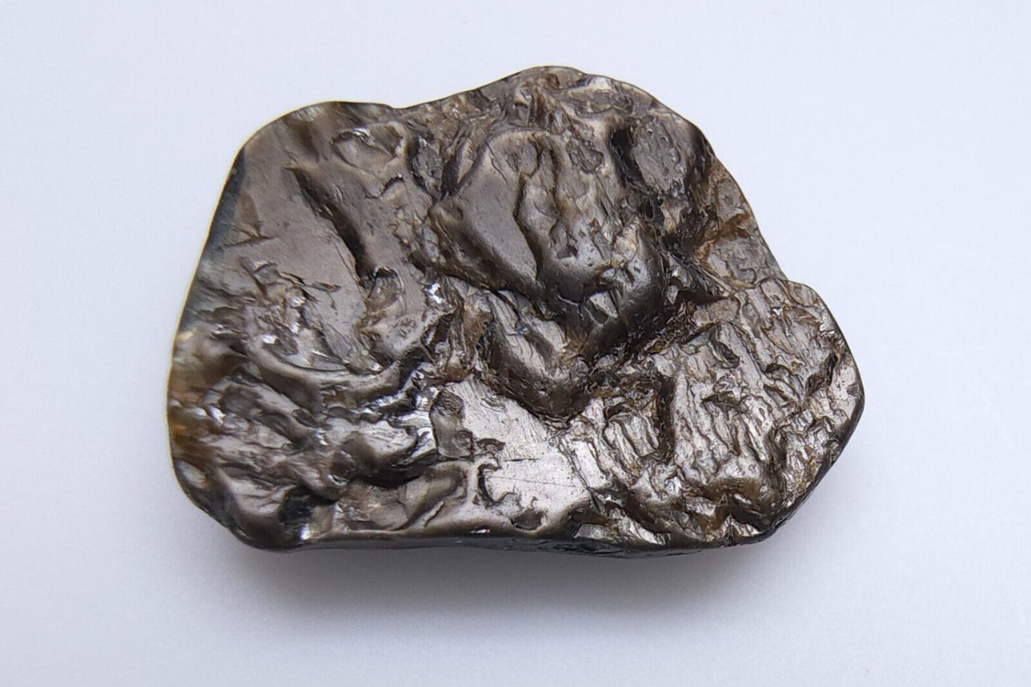 53652.0 - 6 Australian Raw Black Star Sapphires Flat klar til å settes inn i smykker