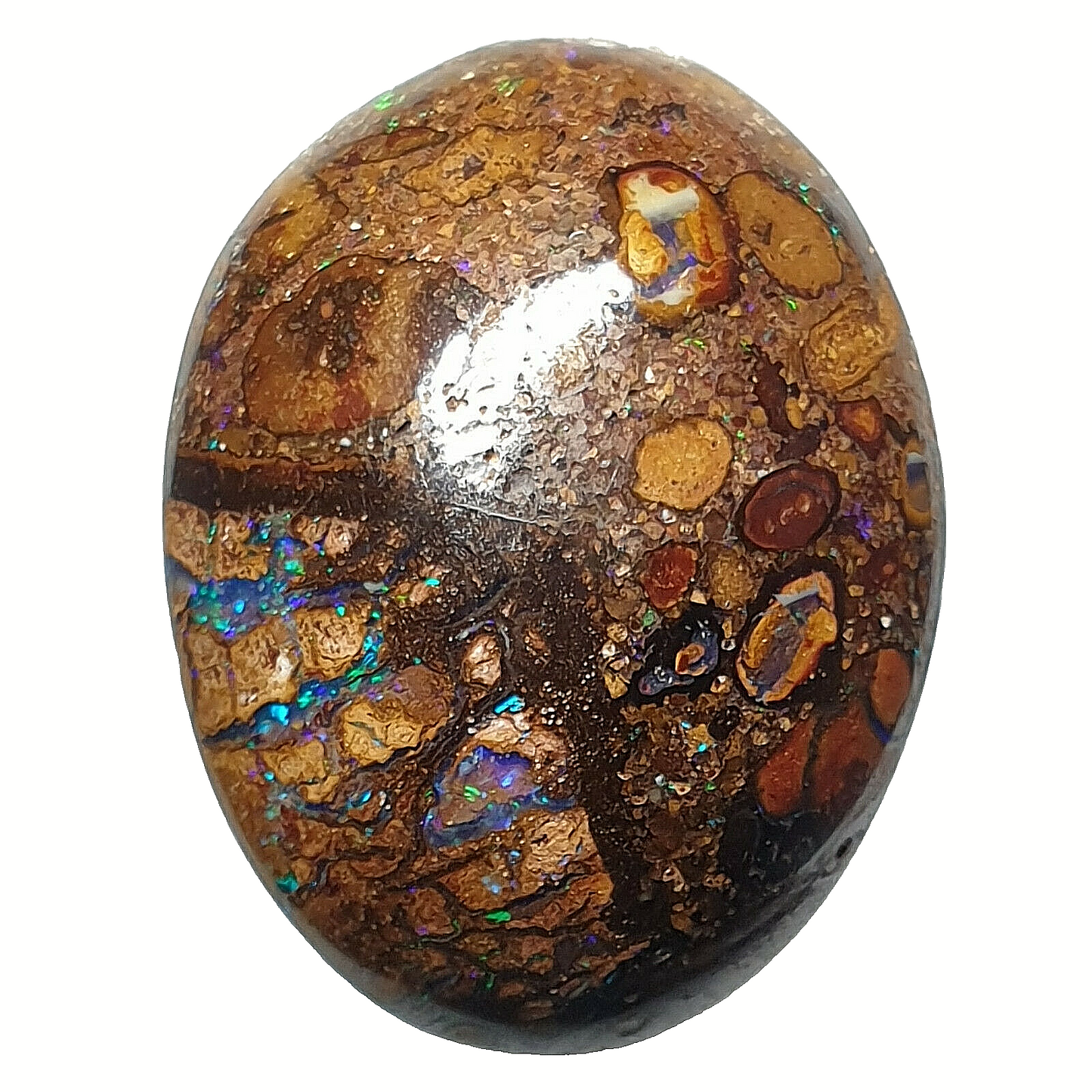 53468 - 20 Boulder Opal Ranging in Size from About 15 x 13 mm up to 28 x 20 mm