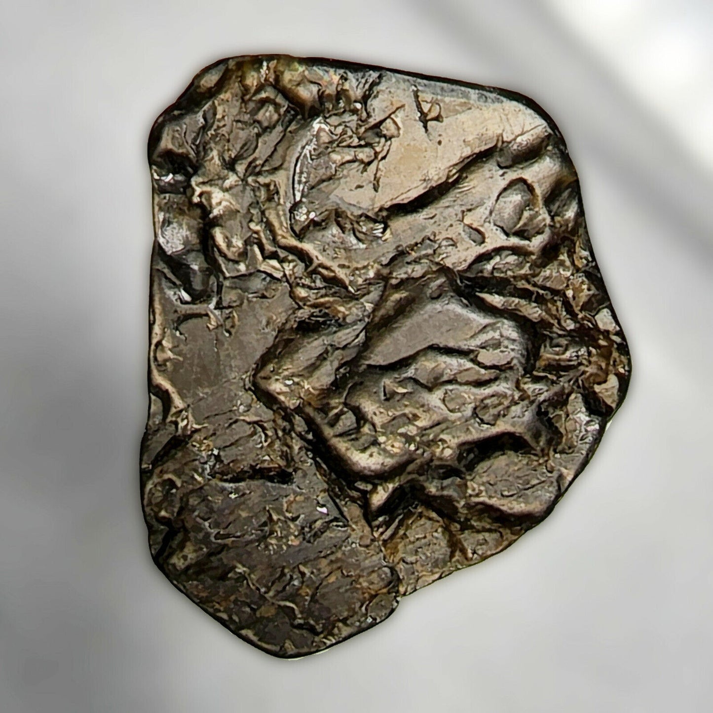 53652.0 - 6 Australian Raw Black Star Sapphires Flat klar til å settes inn i smykker