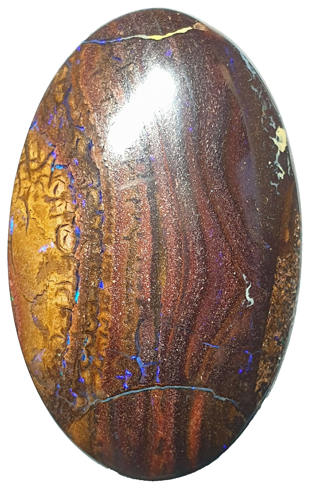 53468 - 20 Boulder Opal Ranging in Size from About 15 x 13 mm up to 28 x 20 mm