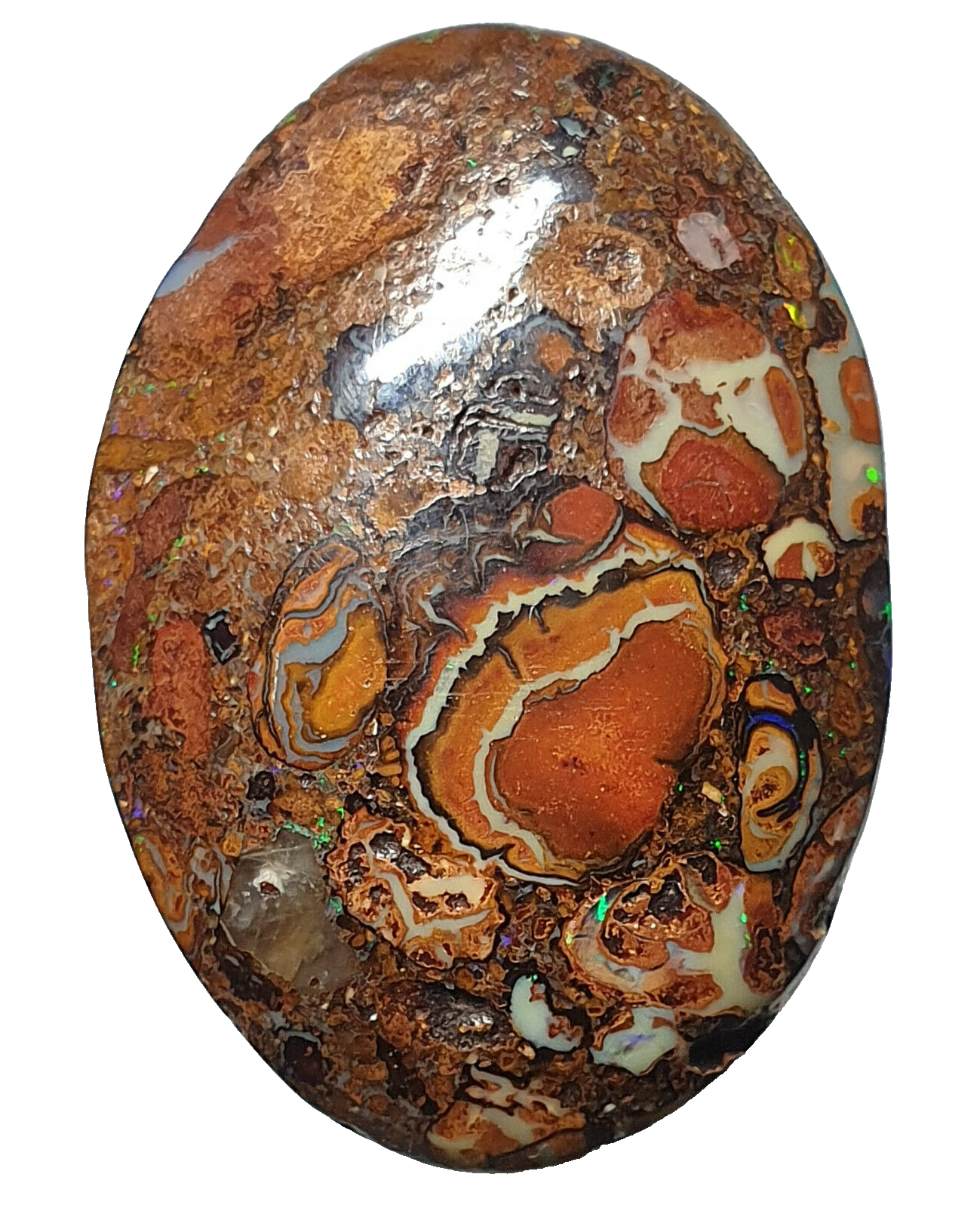 53468 - 20 Boulder Opal Ranging in Size from About 15 x 13 mm up to 28 x 20 mm