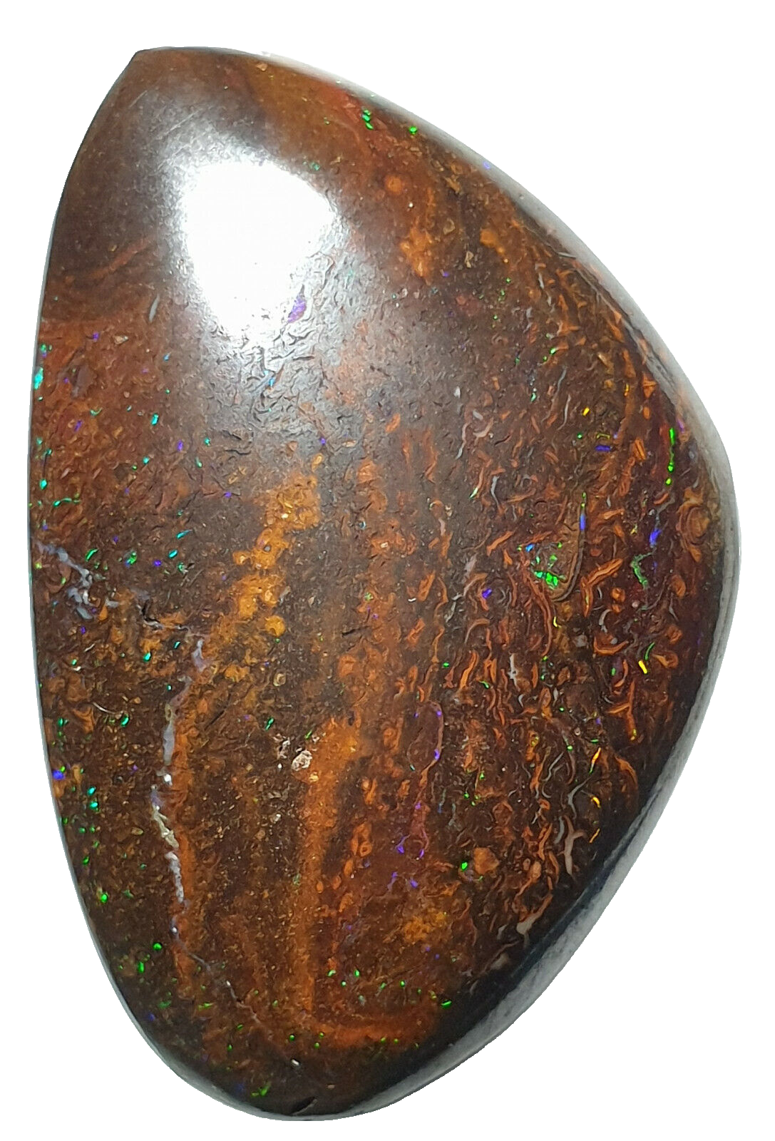53468 - 20 Boulder Opal Ranging in Size from About 15 x 13 mm up to 28 x 20 mm