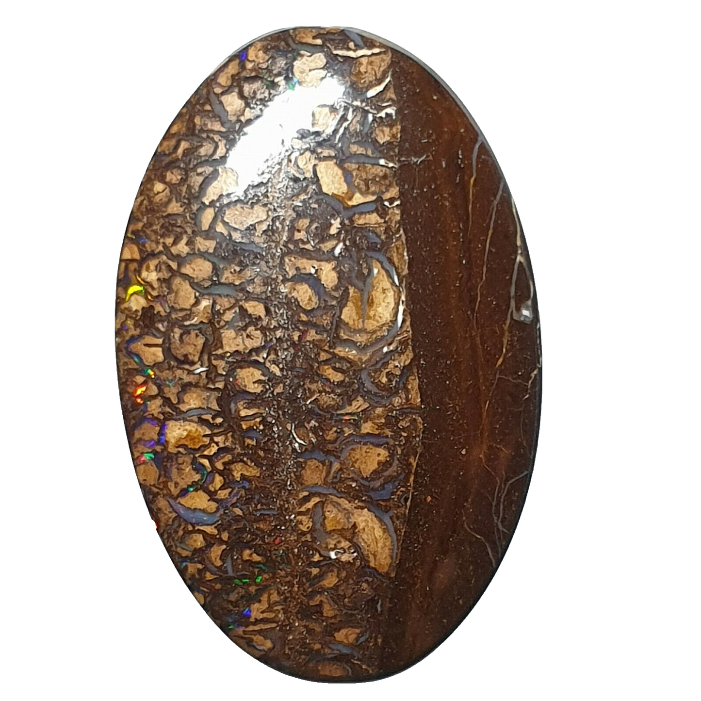 53468 - 20 Boulder Opal Ranging in Size from About 15 x 13 mm up to 28 x 20 mm