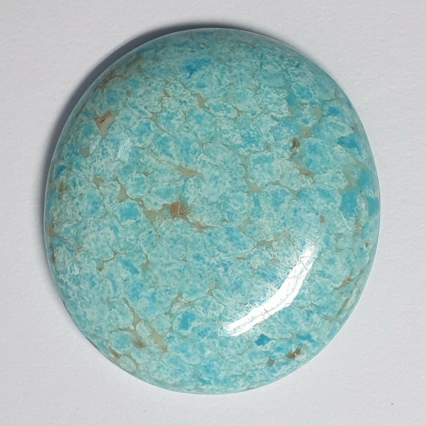 53571 - A Very Rare NATURAL Australian "TurqOZ" 22.10 x 15.63 mm Oval Turquoise