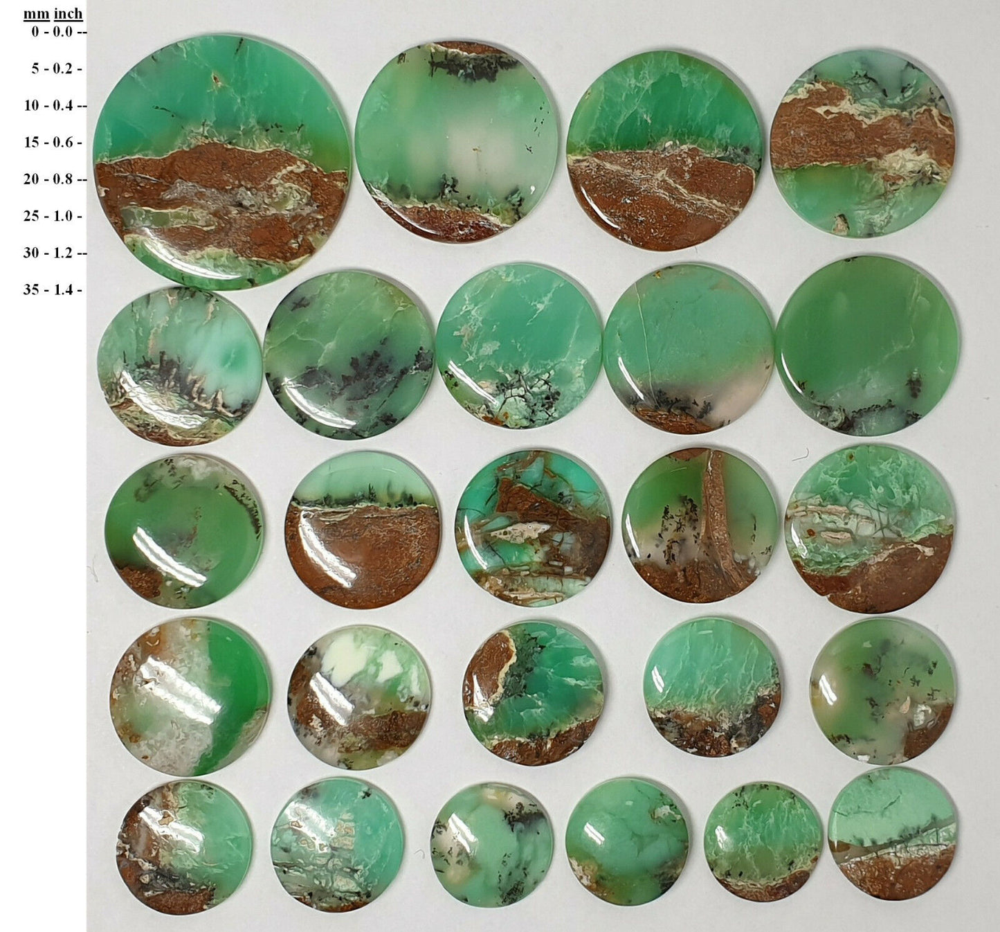 53536.0 - 25 Pieces Mixed Sizes Round Cut Green Cabochon Australian Chrysoprase