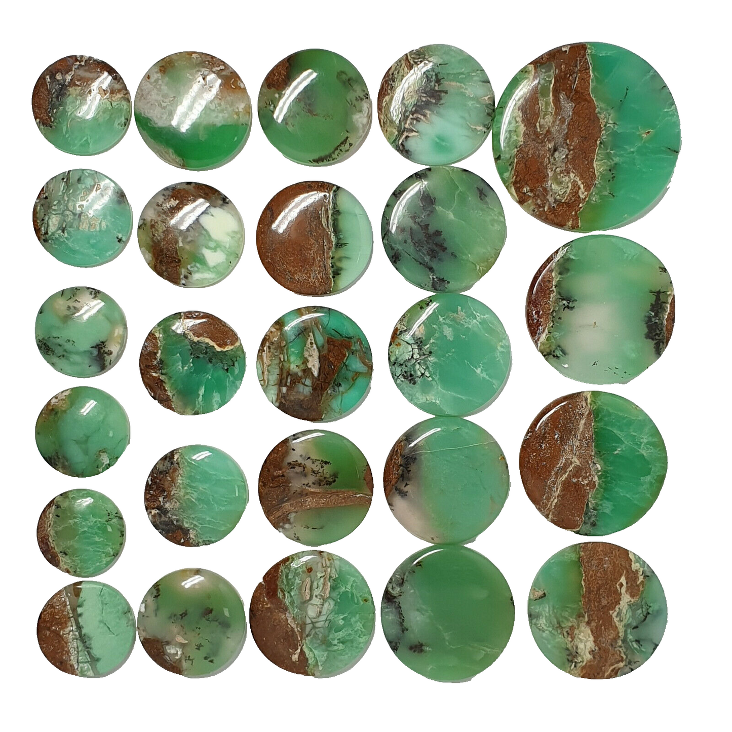 53536.0 - 25 Pieces Mixed Sizes Round Cut Green Cabochon Australian Chrysoprase