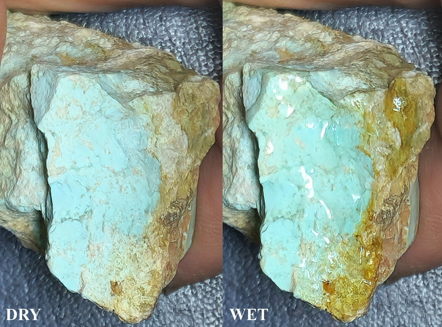 54114.0 - Rare Natural Rough Turquoise from Central Australia 257 carat 51 grams
