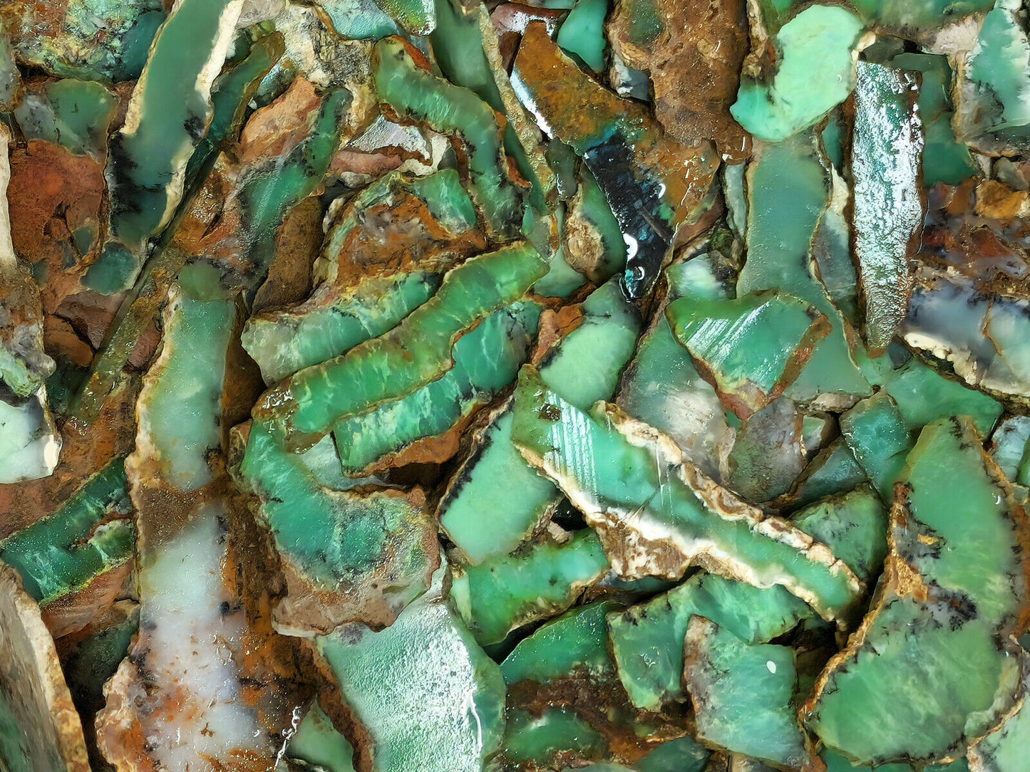 54151.2 - 800 Grams Australian rough Chrysoprase Slices Average 4-5 mm thick