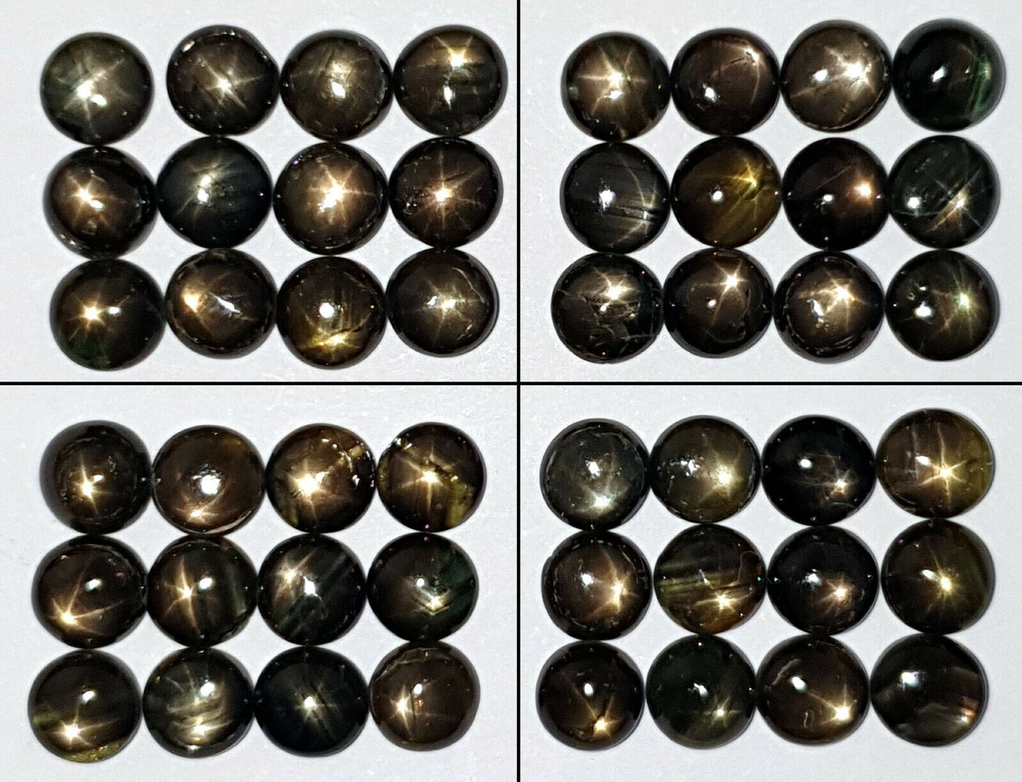 11551 - Wholesale Lot of 12 Round Cut 5.75 mm Australian Black Star Sapphires
