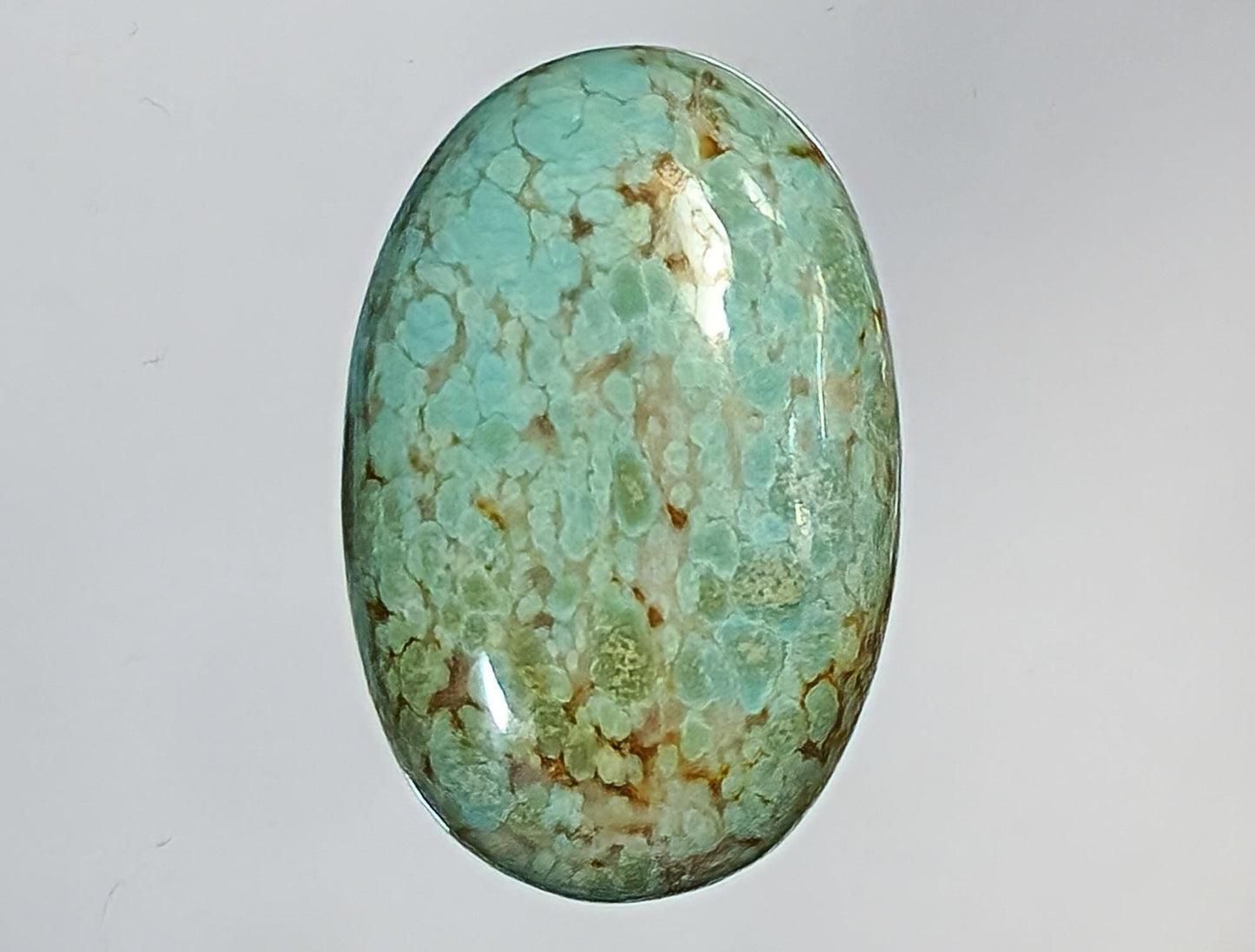 53585.0 - A Very Large and Rare NATURAL Australian Turquoise, 25 x 16 x 5 mm Oval cabochon, Snowflake "TurqOZ", 14.68 carats, NO Treatment