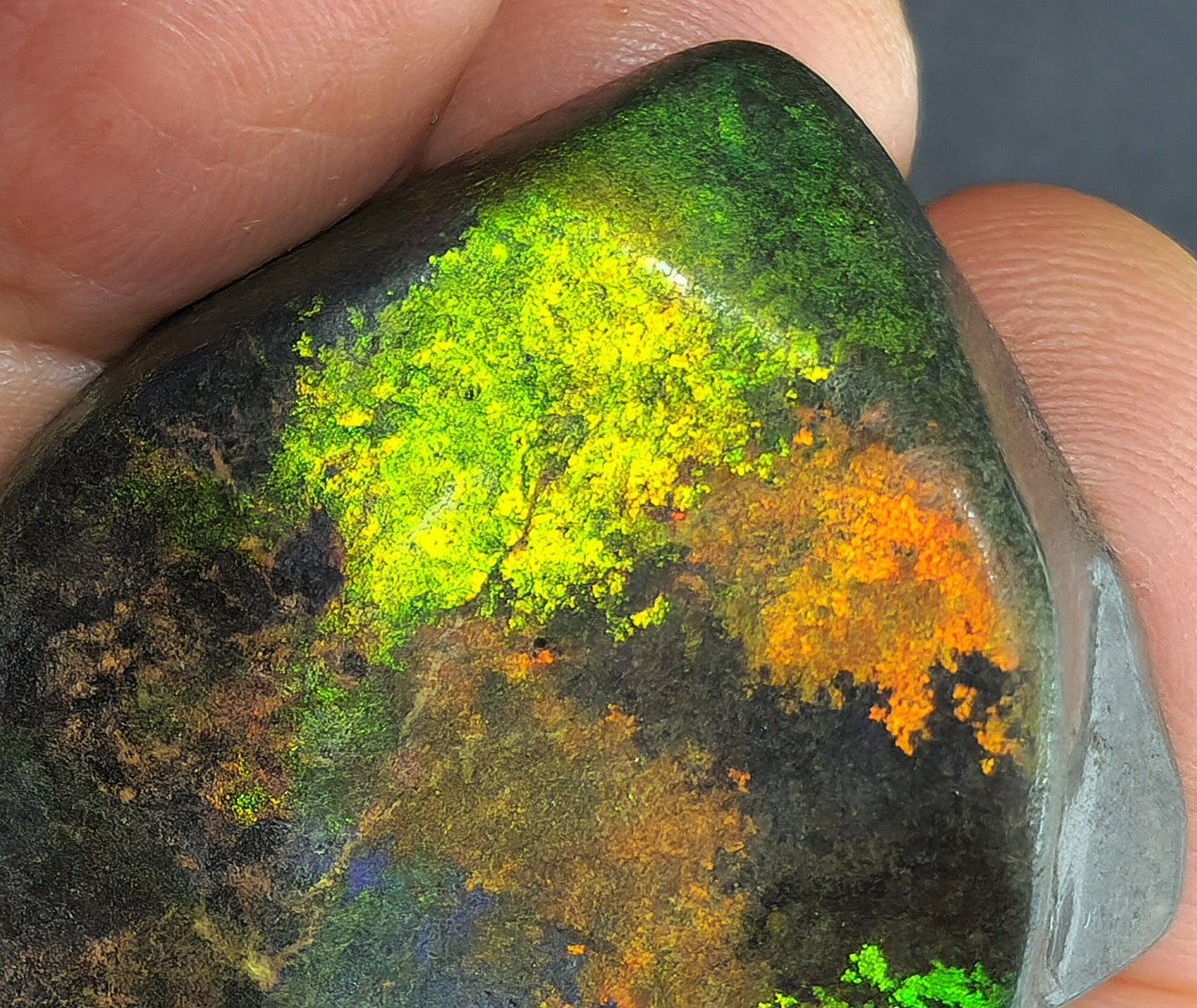 53912.0 - Andamooka Treated Opal Matrix Specimen Huge colour patterns 186.97 carats 50 x 40 x 18 mm Common in the 1960's but a rarity today