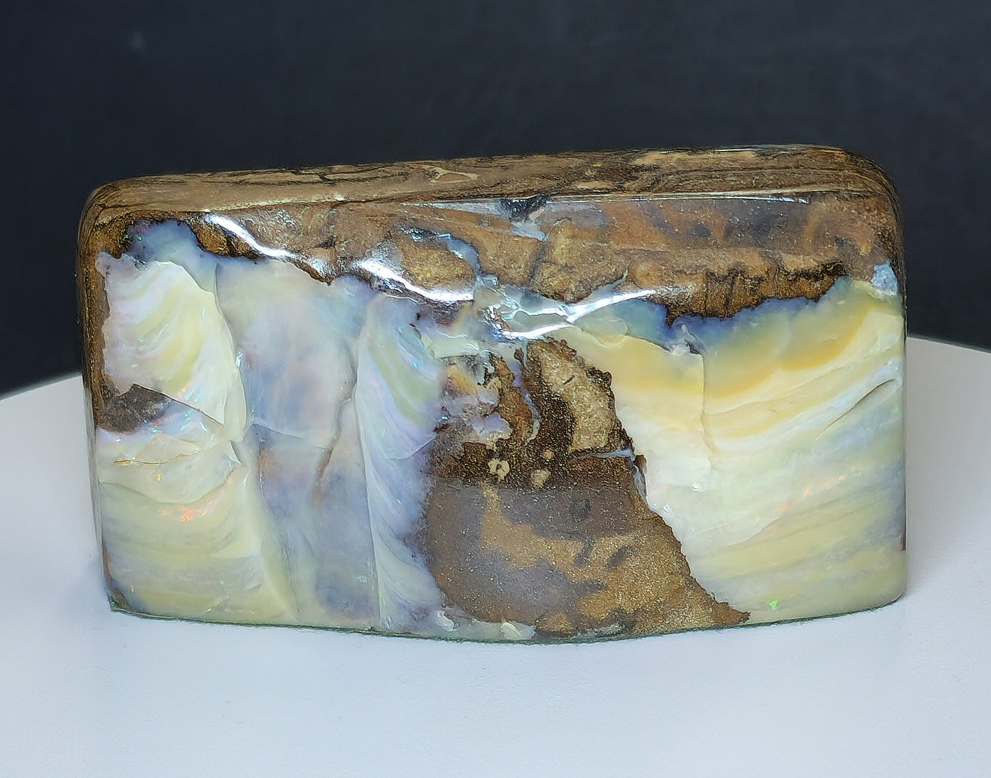 54134.0 - Boulder Opal Specimen Highly polished all over Use as a mantle ornament Great gift for an Executive's Office desk and paper weight