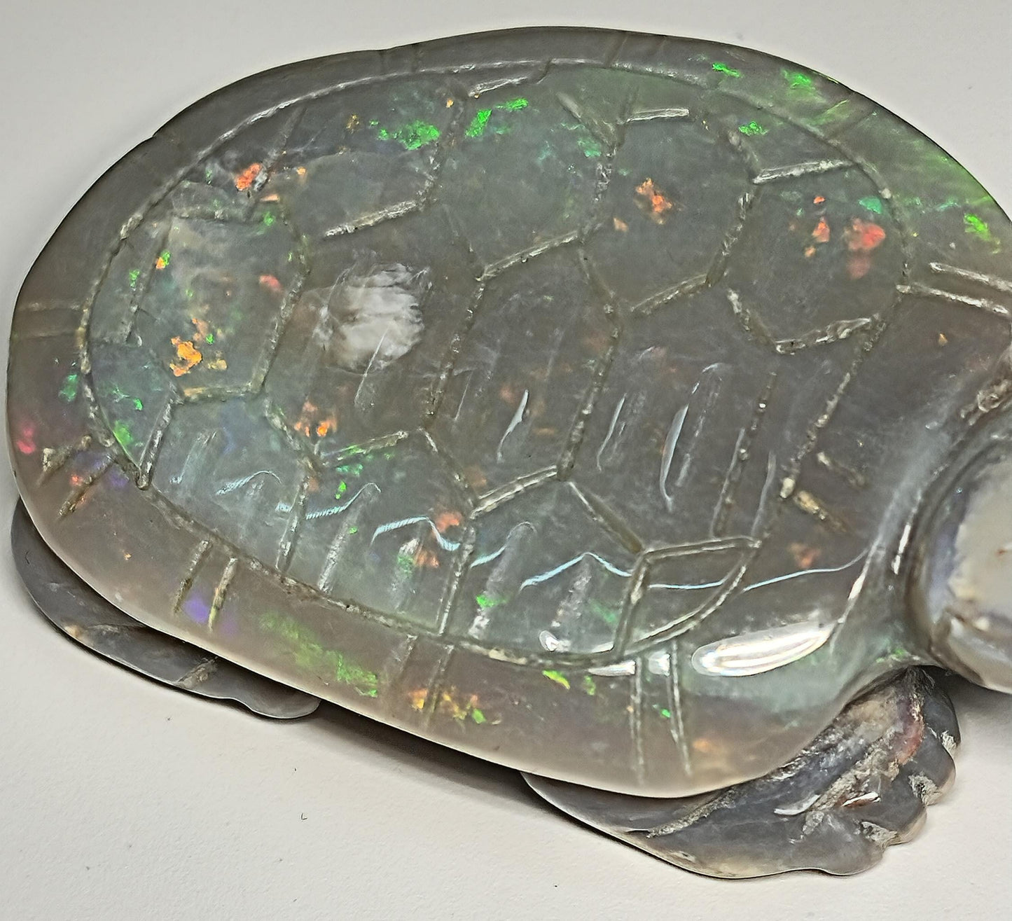 04083.0 - Australian solid grey Opal turtle carving Potential to recut for more colour 229.79 carats colourful ornament 60 x 45 mm