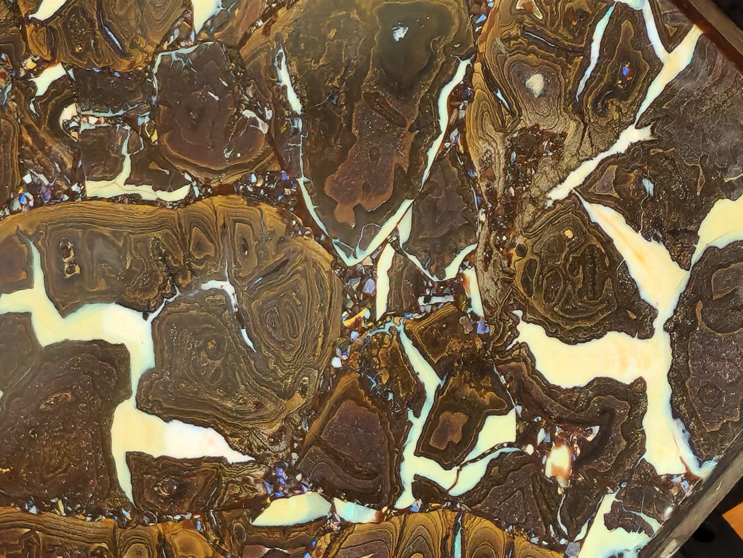 01000.1 Unique and Interesting Boulder Opal Coffee Table