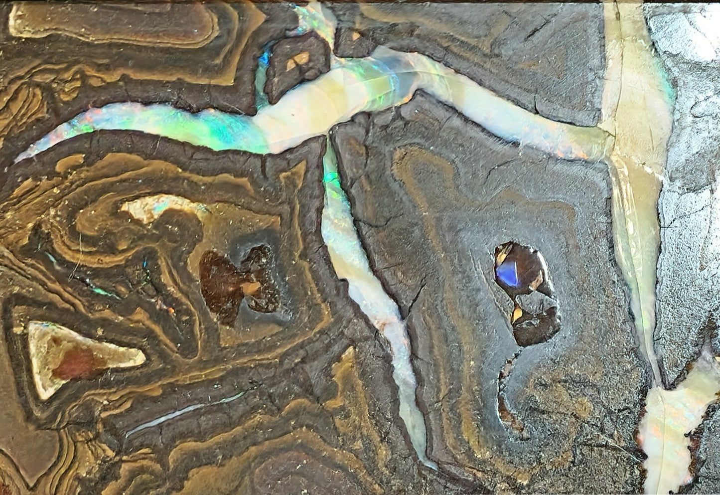01000.1 Unique and Interesting Boulder Opal Coffee Table