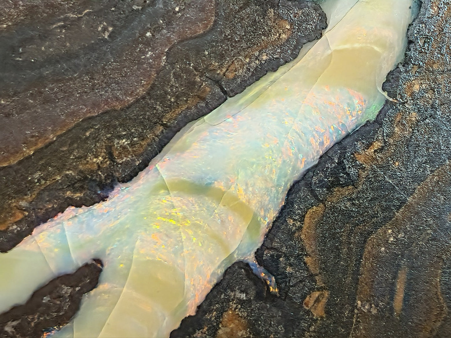 01000.1 Unique and Interesting Boulder Opal Coffee Table