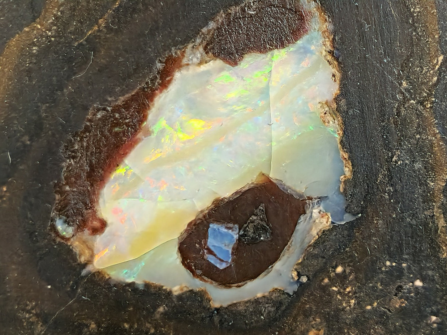 01000.1 Unique and Interesting Boulder Opal Coffee Table