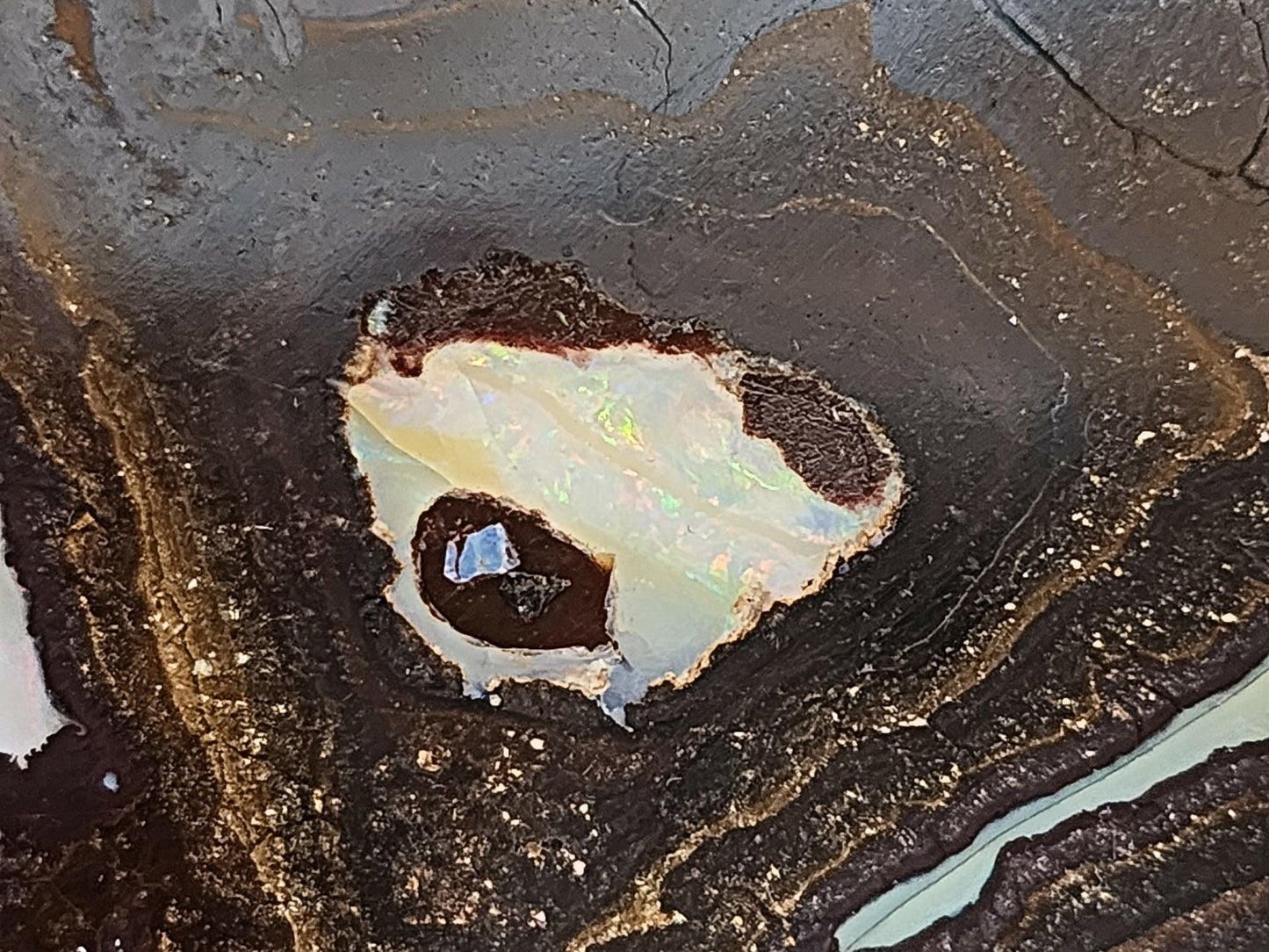 01000.1 Unique and Interesting Boulder Opal Coffee Table