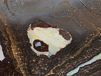 01000.1 Unique and Interesting Boulder Opal Coffee Table
