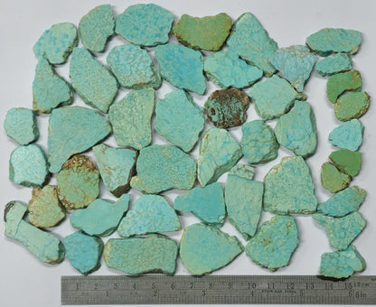 54490. Natural Australian Turquoise: Sliced and Semi-Polished, Very Old, Very Rare, 200gr, 45 Pieces