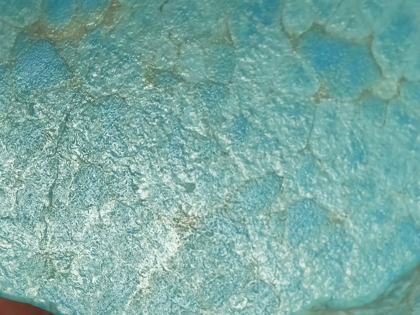 54490. Australian Turquoise; Very Rare, Sliced, Semi-Polished, 1 gram to 8 grams