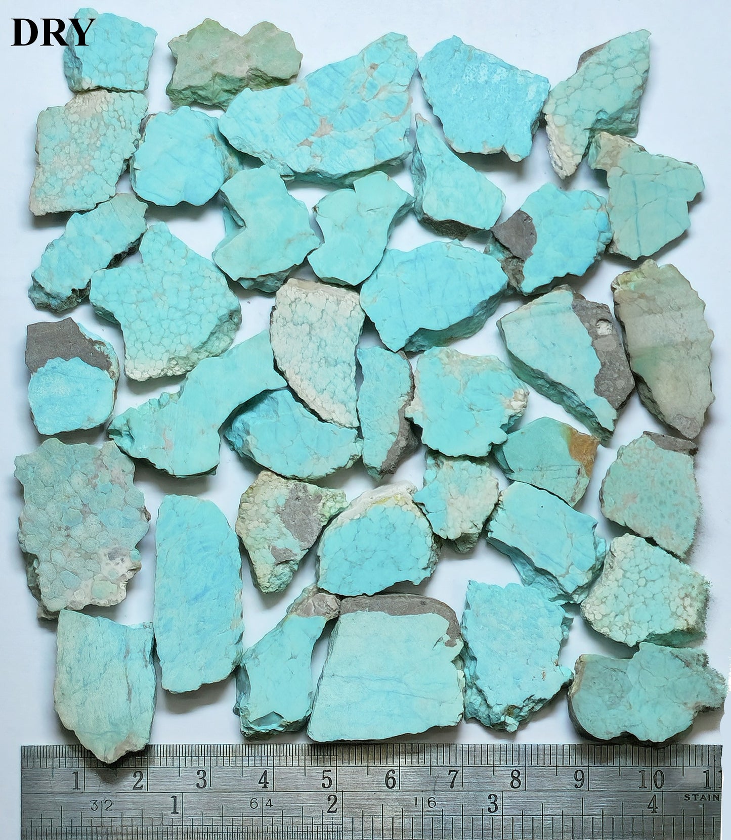 Turquoise when dry with a ruler for scale on a white background