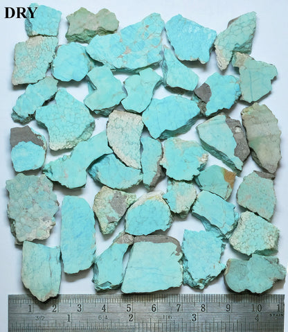 Turquoise when dry with a ruler for scale on a white background
