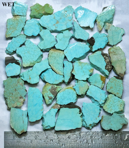 Turquoise whenwet with a ruler for scale on a white background