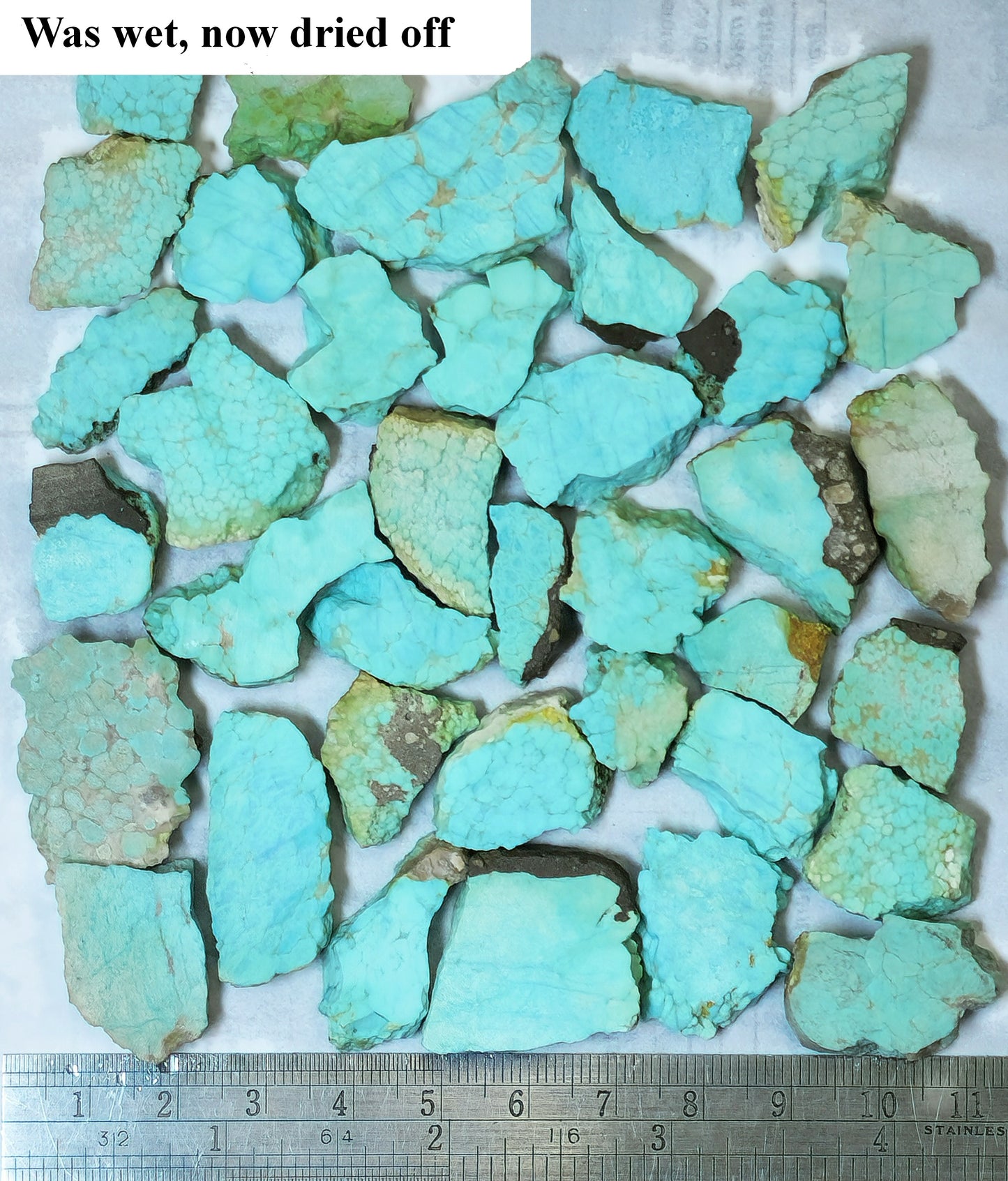 Turquoise after having been wet, now drying up and with  a ruler at the bottom for scale.