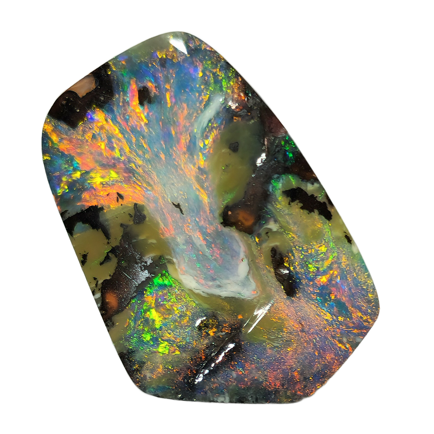 54532. Boulder Opal: Free Shape, 11 Carats