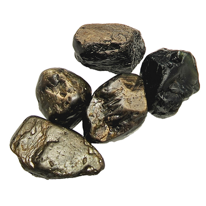 53654.0 - 5 Pcs Australian Rough Black Star Sapphires Average Weight 18.9 carats