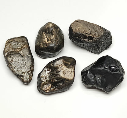 53654.0 - 5 Pcs Australian Rough Black Star Sapphires Average Weight 18.9 carats