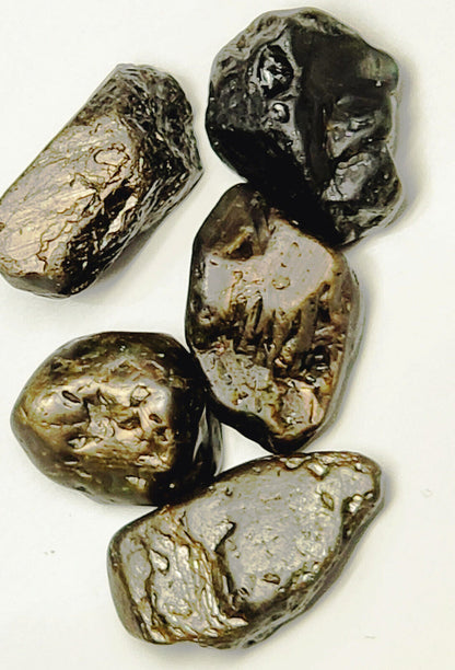 53654.0 - 5 Pcs Australian Rough Black Star Sapphires Average Weight 18.9 carats