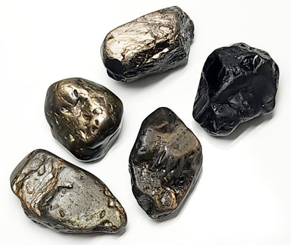 53654.0 - 5 Pcs Australian Rough Black Star Sapphires Average Weight 18.9 carats