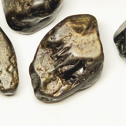 53654.0 - 5 Pcs Australian Rough Black Star Sapphires Average Weight 18.9 carats