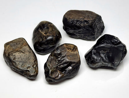 53654.0 - 5 Pcs Australian Rough Black Star Sapphires Average Weight 18.9 carats