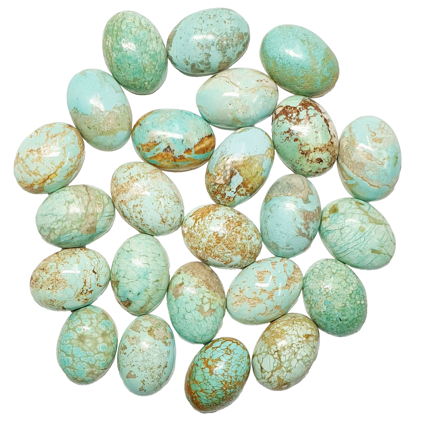 53387.0 "TurqOZ" 24 Rare Australian UNTREATED 14x10 mm Oval Turquoise Cabochons