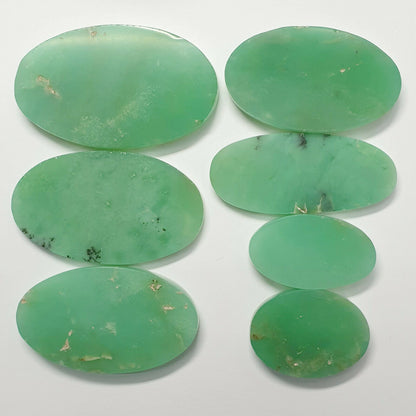 53389 - 7 Pcs 325.96 Cts Australian Chrysoprase Flat Semipolished Top Cut Stones