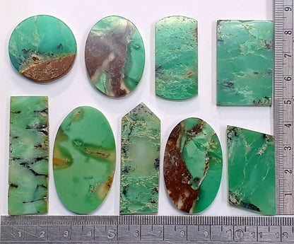 53395 - 9 Australian Chrysoprase Semipolished Flat Top 352.10 Cts +1 S/P Chain