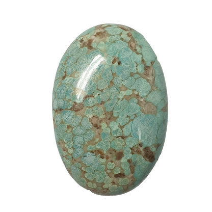 53568 -  A Very Rare NATURAL Australian "TurqOZ" 29.63 x 19.97 mm Oval Turquoise