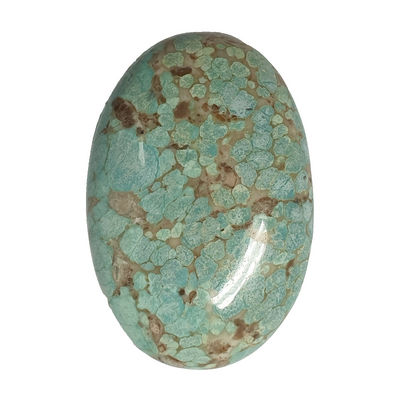 53568 -  A Very Rare NATURAL Australian "TurqOZ" 29.63 x 19.97 mm Oval Turquoise