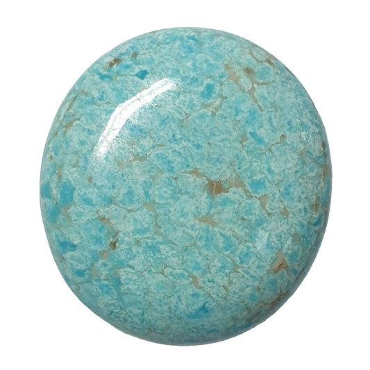 53571 -  A Very Rare NATURAL Australian "TurqOZ" 22.10 x 15.63 mm Oval Turquoise