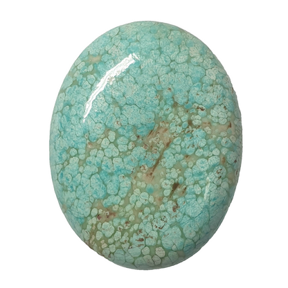 53576 -  A Very Rare NATURAL "TurqOZ" Australian Turquoise 28.59 x 22.32 mm Oval