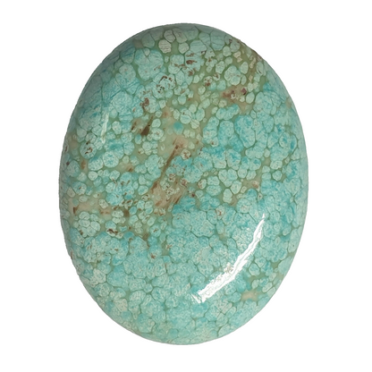 53576 -  A Very Rare NATURAL "TurqOZ" Australian Turquoise 28.59 x 22.32 mm Oval