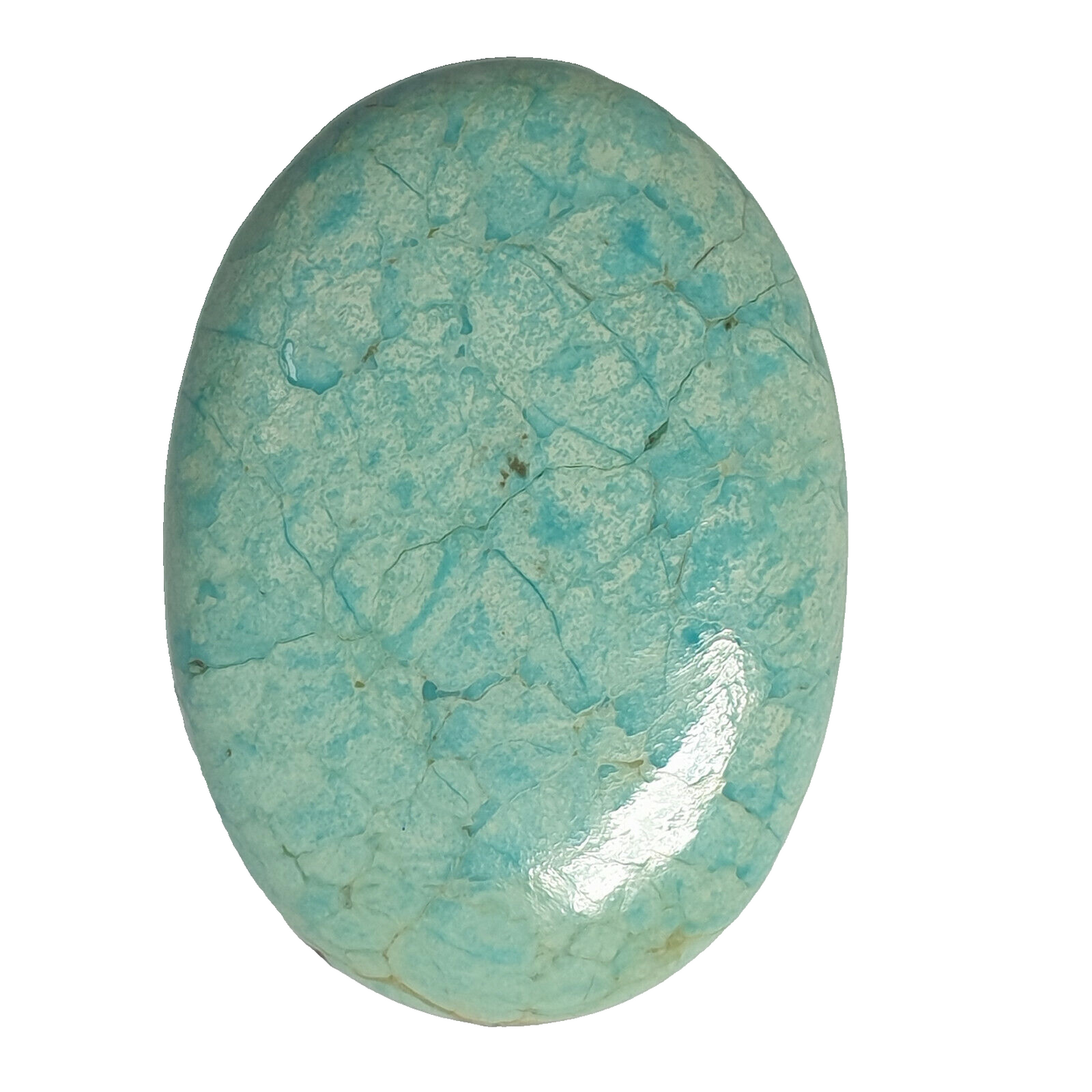 53566 -  A Very Rare NATURAL "TurqOZ" Australian Turquoise 31.74 x 22.48 mm Oval