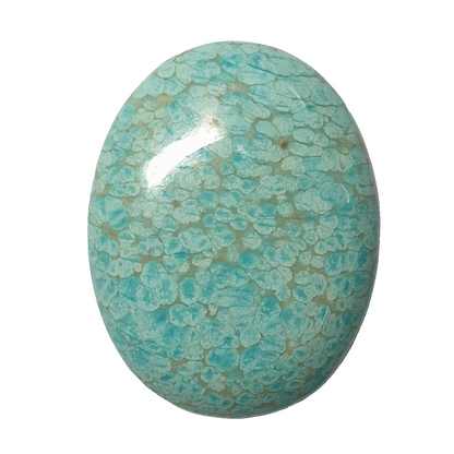 53584 -  A Very Rare NATURAL Australian Snowflake "TurqOZ" 27.02 x 20.95 mm Oval